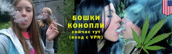 гидра Майский