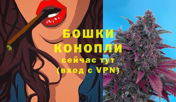 мдма Медвежьегорск