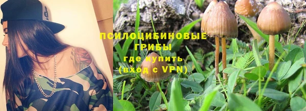 гидра Майский
