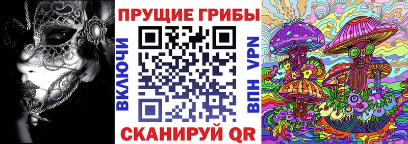 blacksprut вход  Надым  Галлюциногенные грибы MAGIC MUSHROOMS 