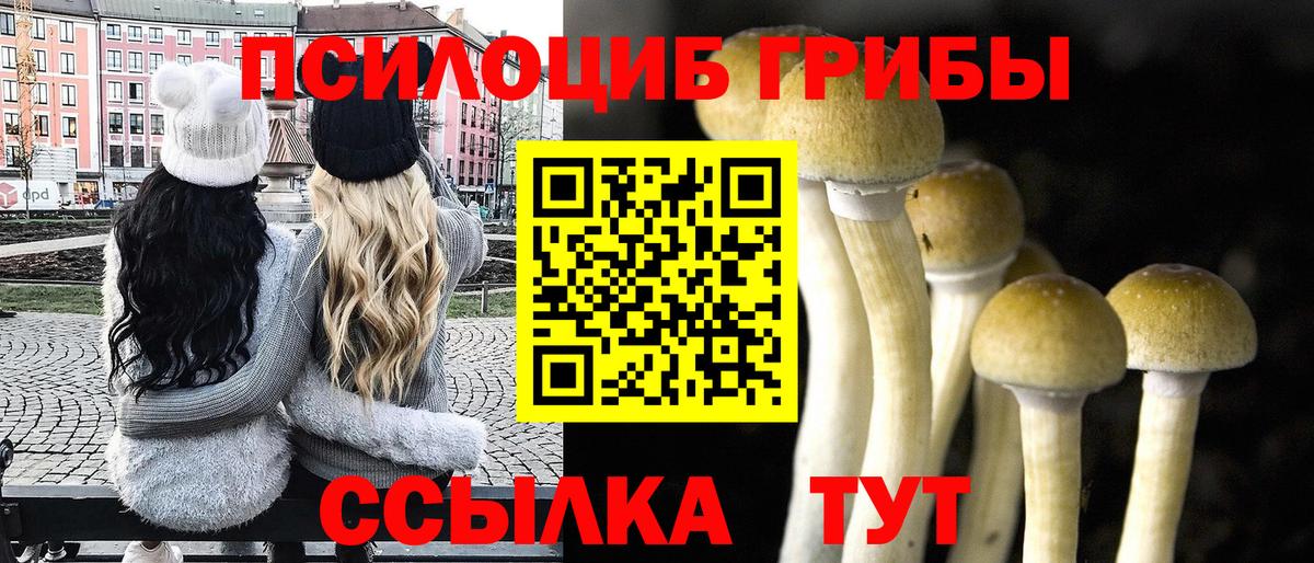 Галлюциногенные грибы прущие грибы Надым