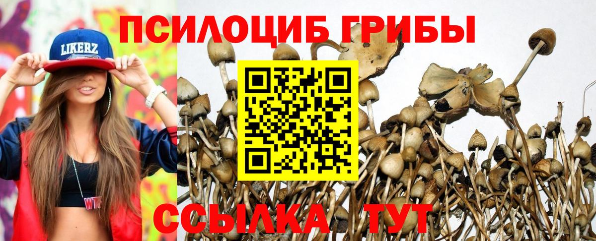 Галлюциногенные грибы Magic Shrooms  Вход с VPN  Надым 