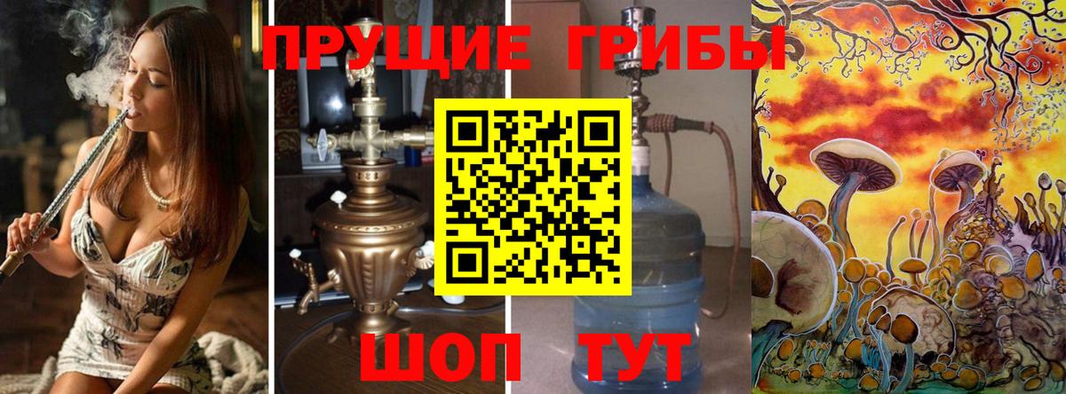 Альфа ПВП Надым